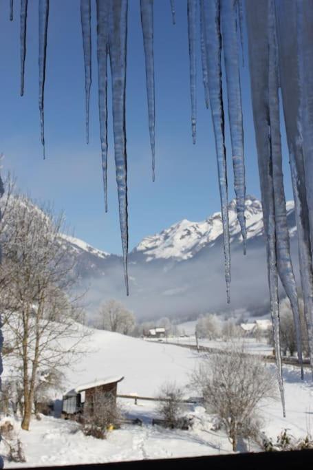 Chaleureux Situe En Plein Coeur Des Bauges Apartment *